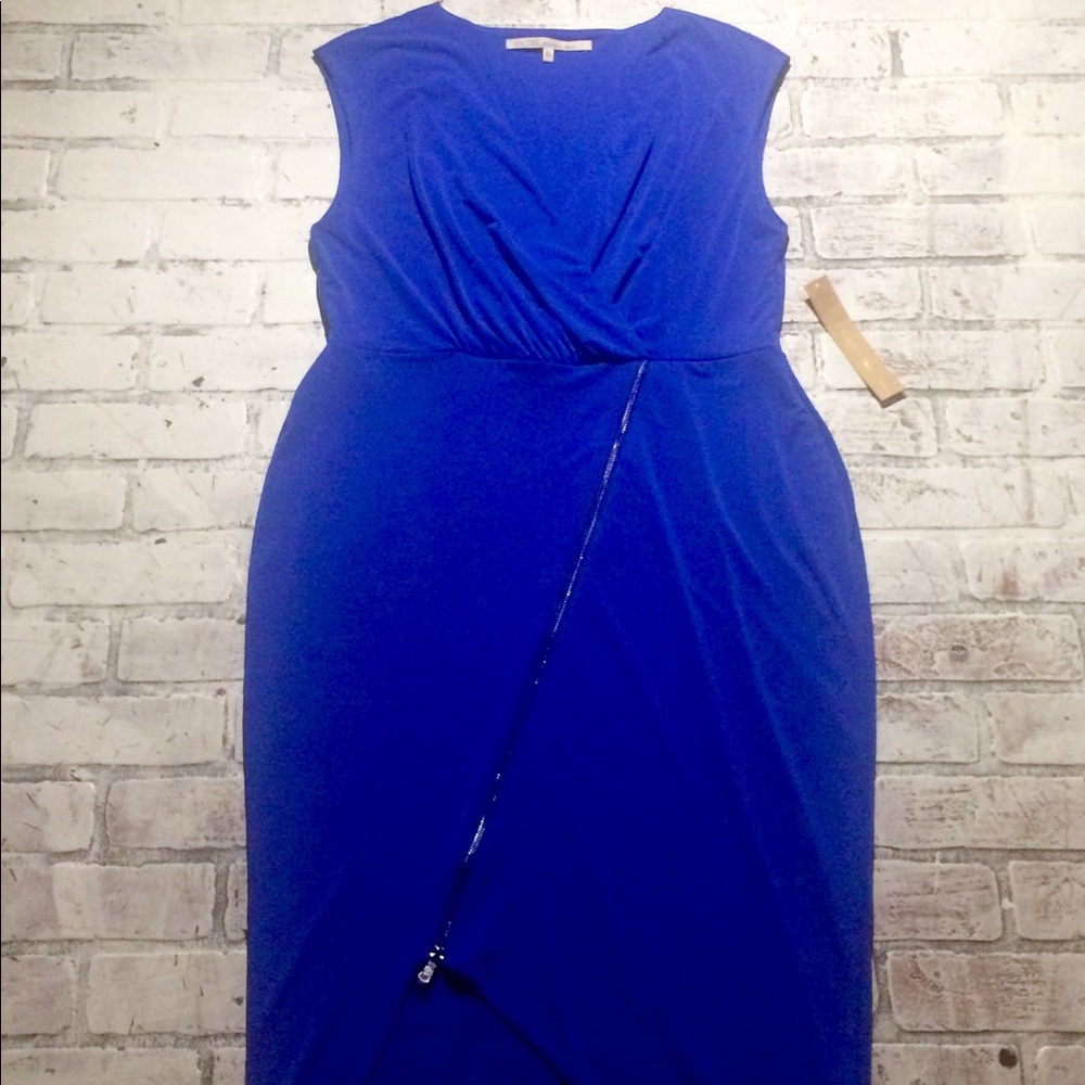 NWT Rachel ROY Dress